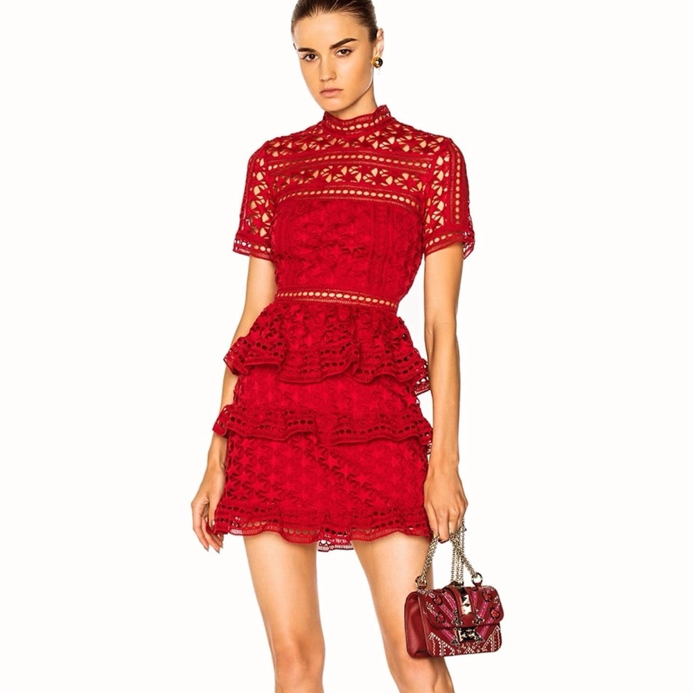 HIGH NECK STAR LACE PANELLED DRESS By Self-portrait - Picture 1 of 10